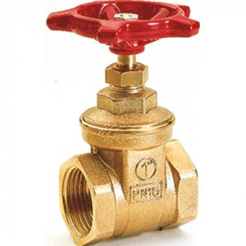 VANNE RAPIDE 2"1/2 FF