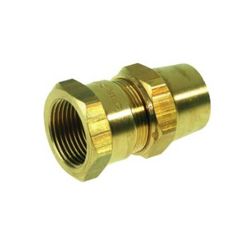 RACCORD BIKO GAZ 1/2 F 12