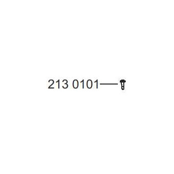 2130101 LA BUVETTE - VIS TARAUDEUSE 6 x 20